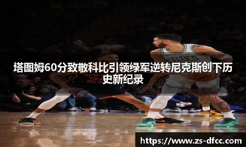 B体育bsports